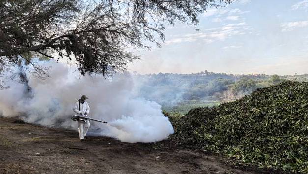 Fumigarán perímetro de 50 kilómetros en la presa Endhó