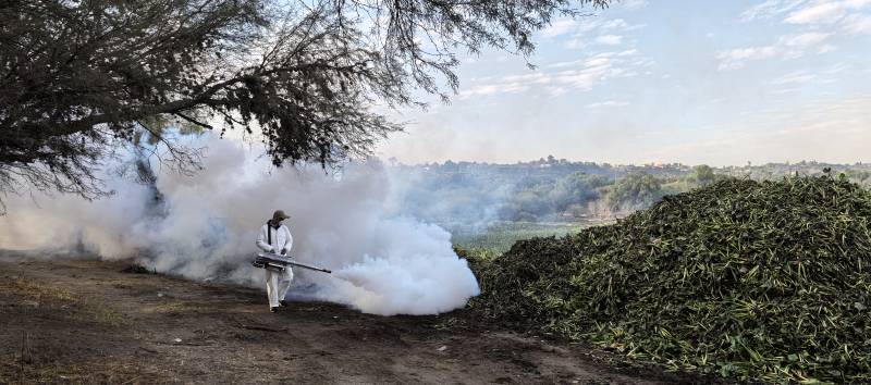 Fumigarán perímetro de 50 kilómetros en la presa Endhó