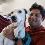 Realizan jornadas de esterilización en Pachuca
