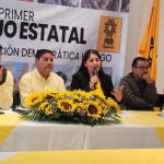 Eligen a Margarita Ramos como presidenta del PRD