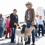 Hidalgo, líder en producción de lana y carne de ovinos en México