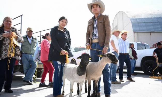 Hidalgo, líder en producción de lana y carne de ovinos en México