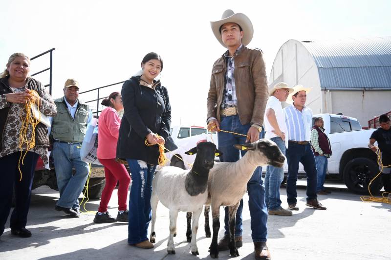 Hidalgo, líder en producción de lana y carne de ovinos en México