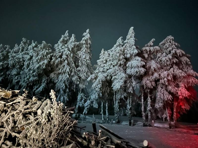 Nevadas pintan de blanco al menos 5 municipios