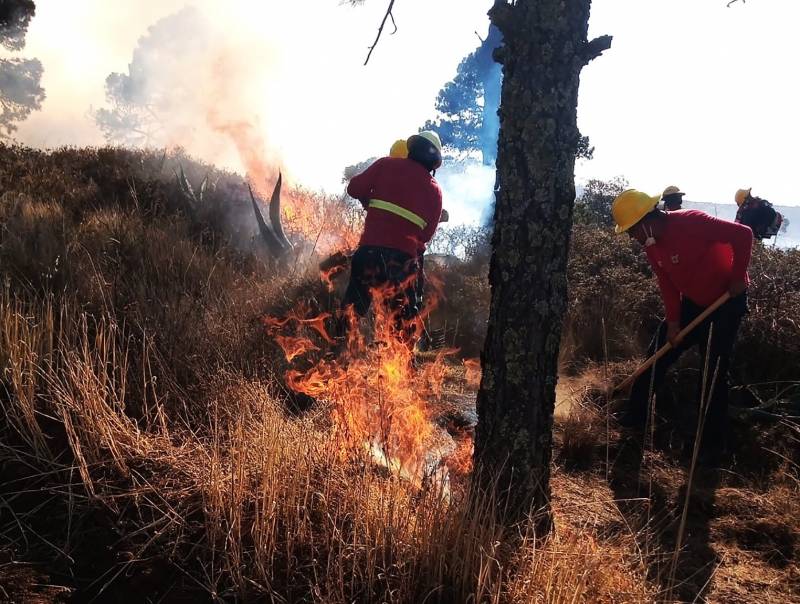 Iniciarán campañas de prevención de incendios