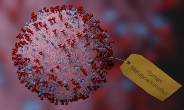 No hay riesgo de pandemia por el metapneumovirus humano