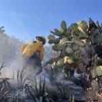 Van 55 incendios forestales en la zona metropolitana