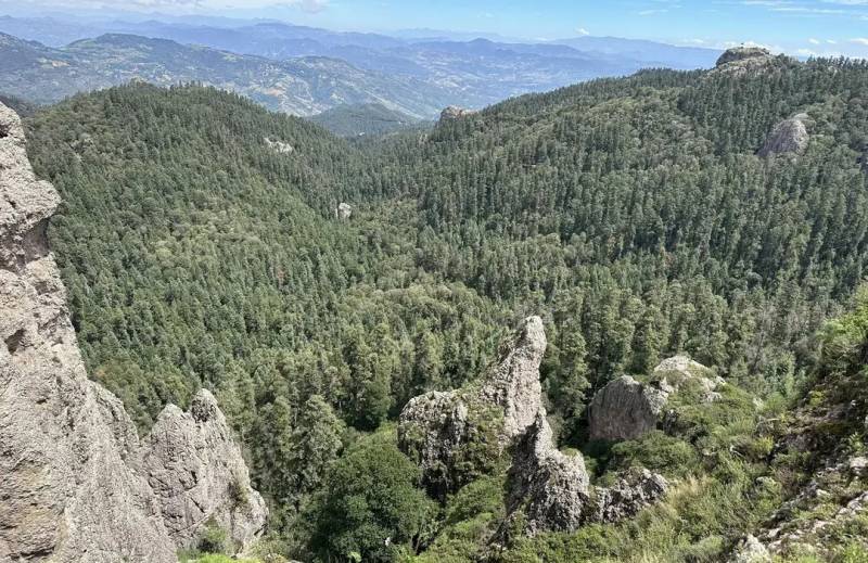 Joven pierde la vida al caer de una peña en Mineral del Chico