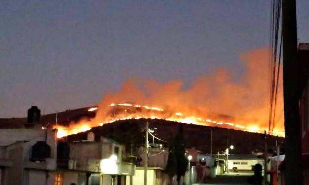 Se registra incendio forestal en Apan