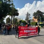 Marchan en Pachuca contra el maltrato animal