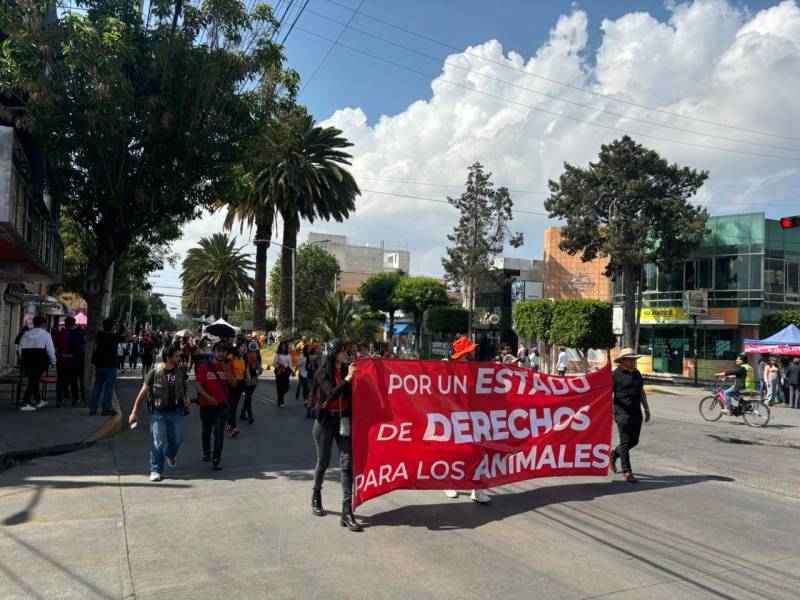 Marchan en Pachuca contra el maltrato animal