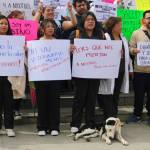 Veterinarios se manifiestan; demandan justicia y mayor seguridad