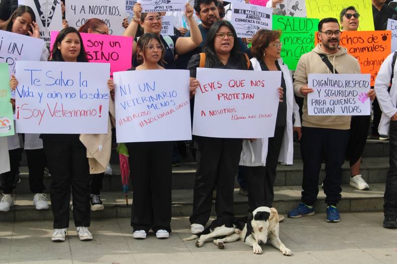 Veterinarios se manifiestan; demandan justicia y mayor seguridad