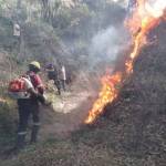 Combaten 4 incendios forestales en Hidalgo