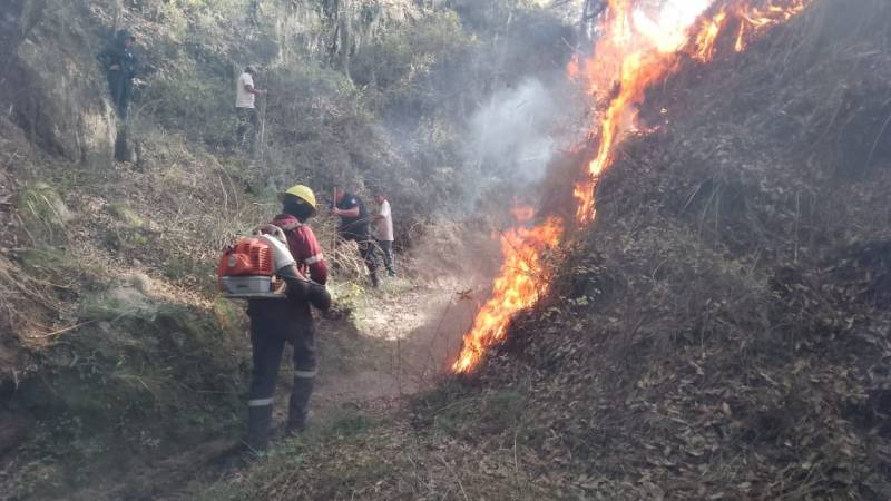 Combaten 4 incendios forestales en Hidalgo