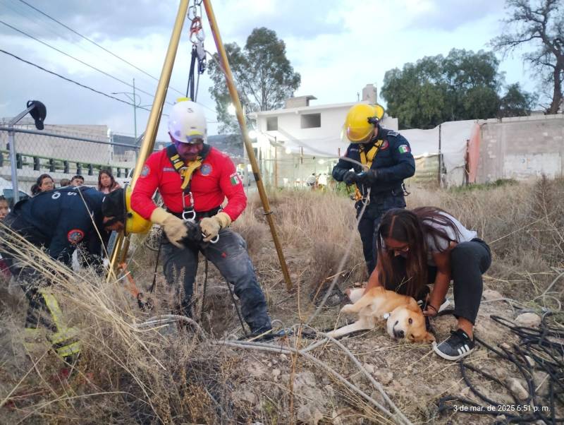 Bomberos rescatan al perro ‘Crash’ en Mineral de la Reforma