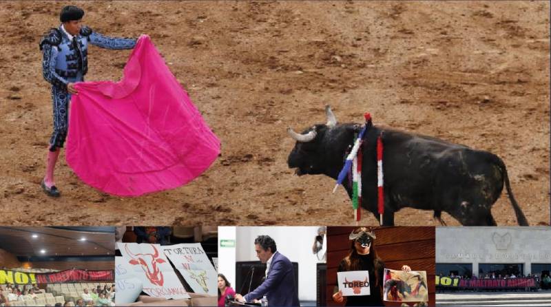 Buscan prohibir las corridas de toros en Hidalgo