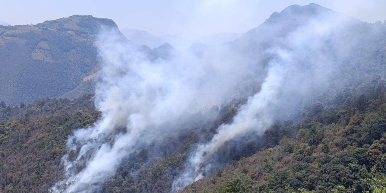 Cuerpos de emergencia combaten incendio en Tlahuiltepa