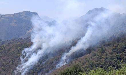 Cuerpos de emergencia combaten incendio en Tlahuiltepa