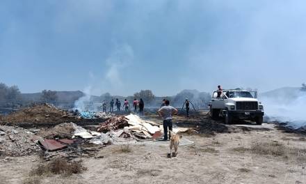 Van 261 incendios forestales en el estado
