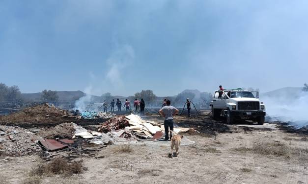Van 261 incendios forestales en el estado