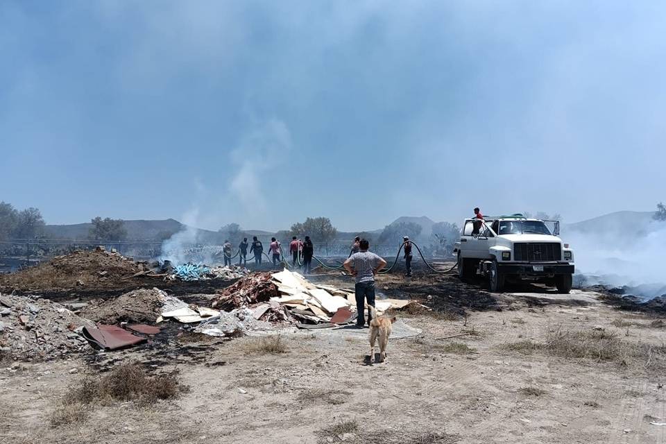 Van 261 incendios forestales en el estado