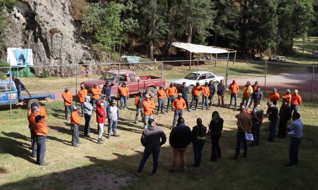 Despliegan brigadas contra incendios forestales
