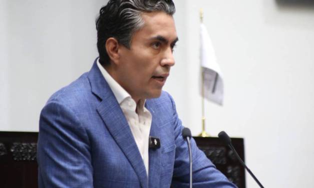 PVEM se deslinda de declaraciones de regidora de Apan