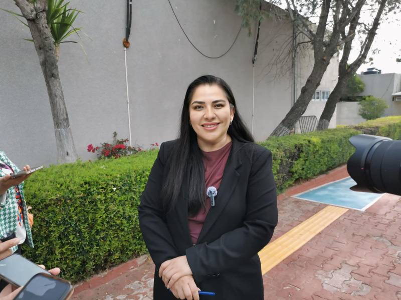 Otorgan licencia temporal a la diputada Alhely Medina