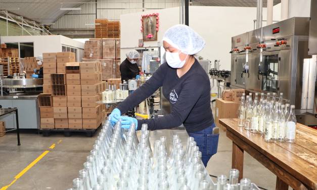 Hidalgo, entre los estados con mayor creación de empleo formal en México