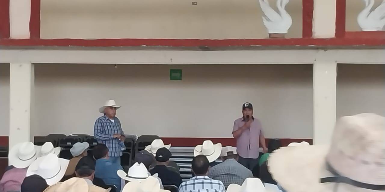 Acuerdan precio fijo de cebada con cervecera