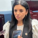 Diputada local pide reforzar atención psicológica