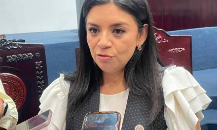 Diputada local pide reforzar atención psicológica