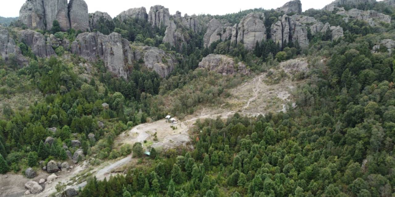 Por plaga forestal, cierran temporalmente zonas del Parque Nacional El Chico