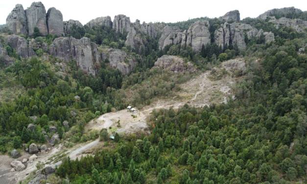 Por plaga forestal, cierran temporalmente zonas del Parque Nacional El Chico