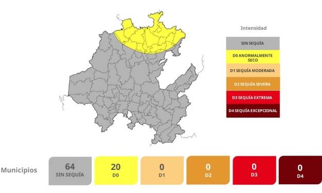 Pese a lluvias 20 municipios presentan sequía