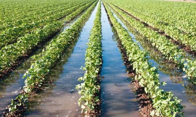 Disponen de 120 mdp para agrícolas afectados por las lluvias