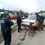 Implementan operativo Transporte Seguro en Pachuca