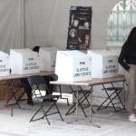 Participación ciudadana fue del 12 por ciento
