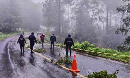 Atienden incidencias en red carretera