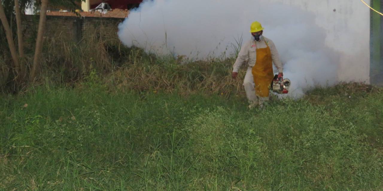 Se han confirmado 37 casos de dengue en lo que va del año