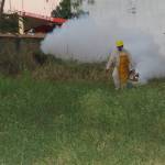 Se han confirmado 37 casos de dengue en lo que va del año