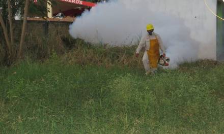 Se han confirmado 37 casos de dengue en lo que va del año