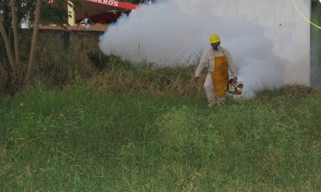 Se han confirmado 37 casos de dengue en lo que va del año