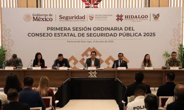 Asignan más de 300 mdp para seguridad