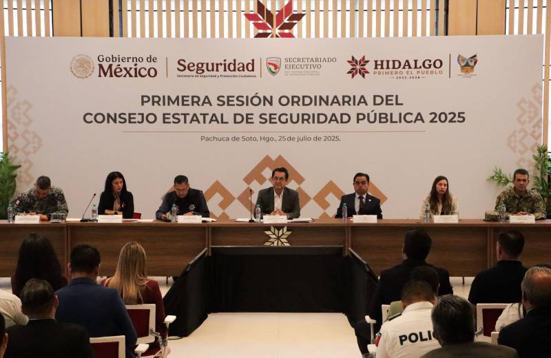 Asignan más de 300 mdp para seguridad
