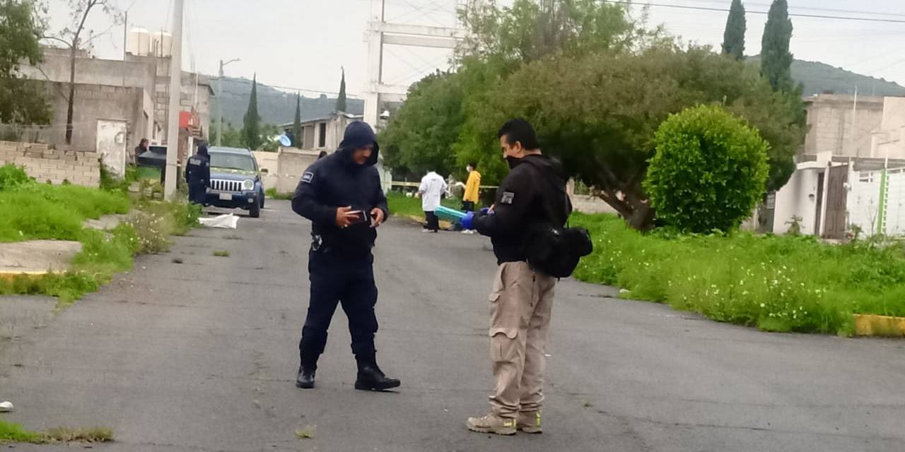 Investigan muerte de diez perros por presunto envenenamiento en El Huixmí