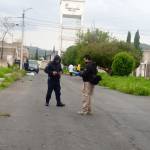 Investigan muerte de diez perros por presunto envenenamiento en El Huixmí