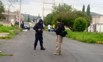 Investigan muerte de diez perros por presunto envenenamiento en El Huixmí