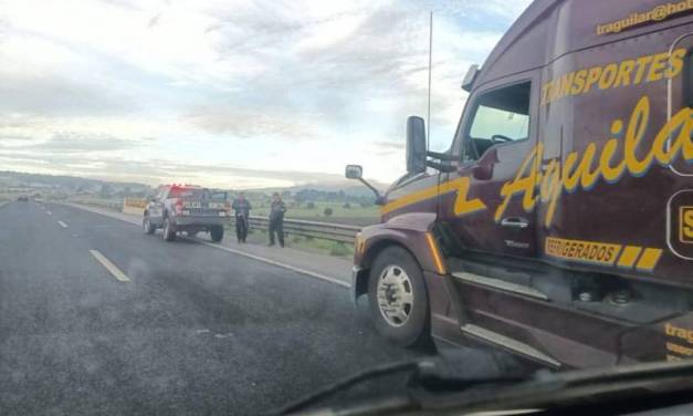 Arrebatan la vida a trailero en la México–Tuxpan tras intento de asalto